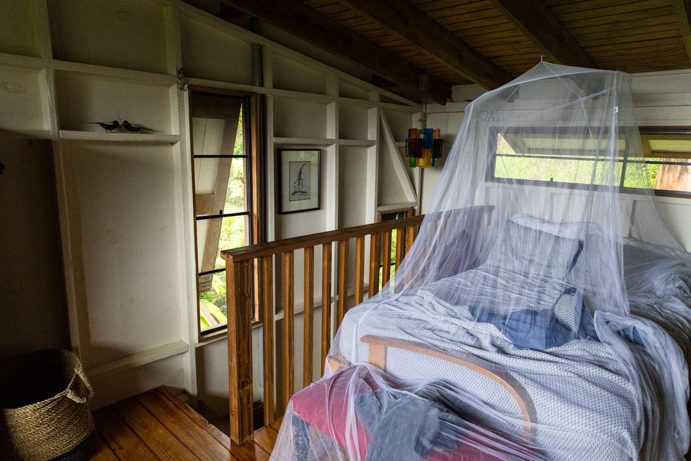 The Nest Suite