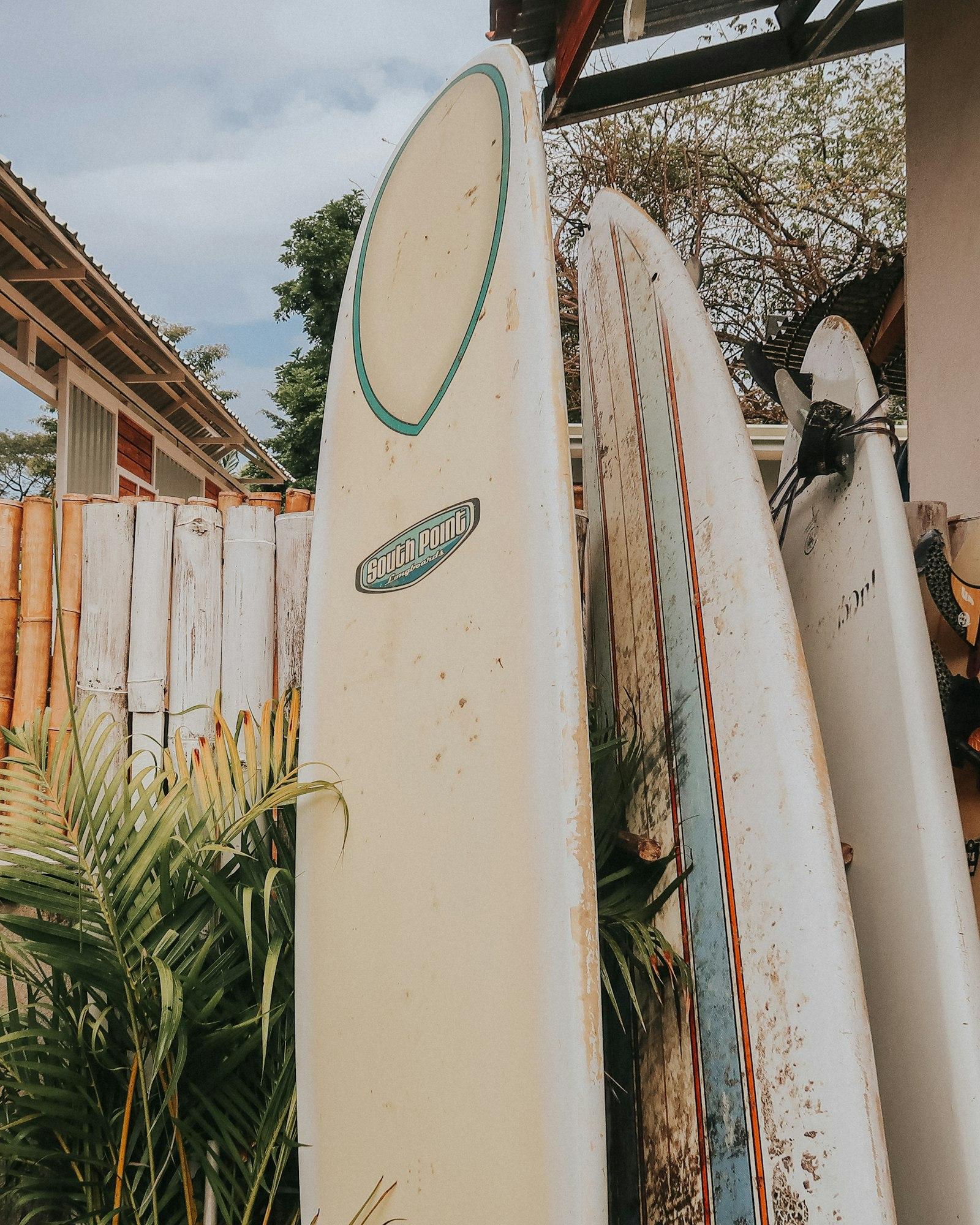 Surfboards at Miyuva Nest